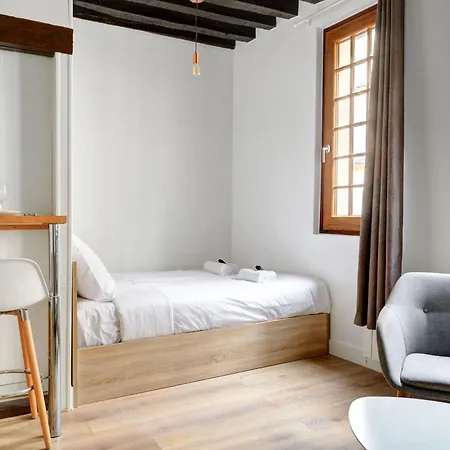 Luminous In Le Marais Apartment