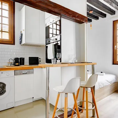 Luminous In Le Marais Apartment Paris